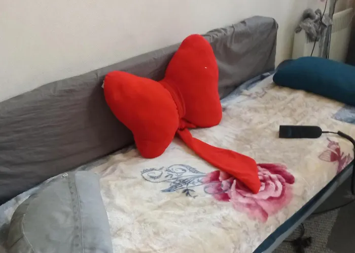 Charmant Studio Apartamento